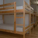 אכסניה Ekoos Hostel, Eko בילבאו
